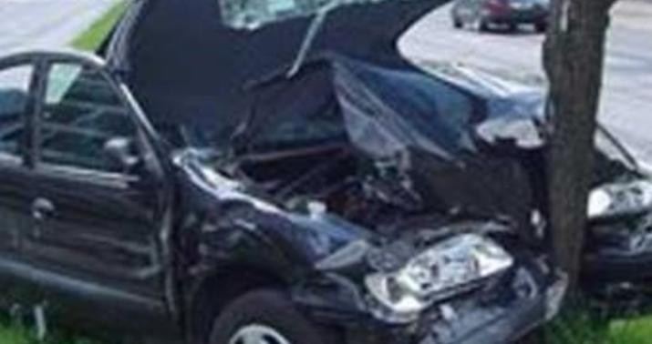 Avtomobil ağaca çırpıldı, 1 nəfər yaralandı